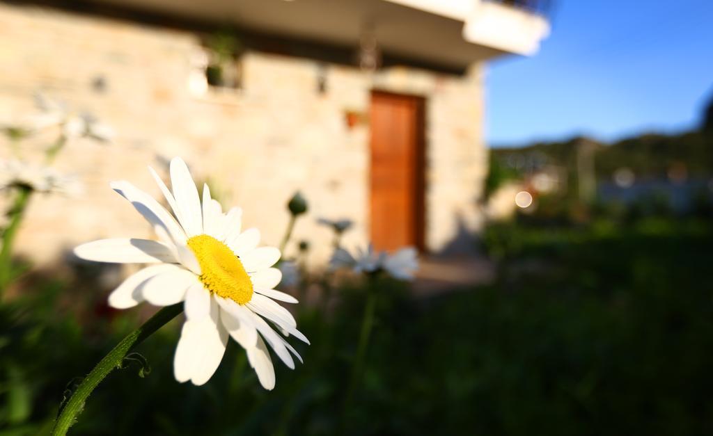 Gasthaus Hayitbuku Ahsapevleri Mesudiye  Exterior foto