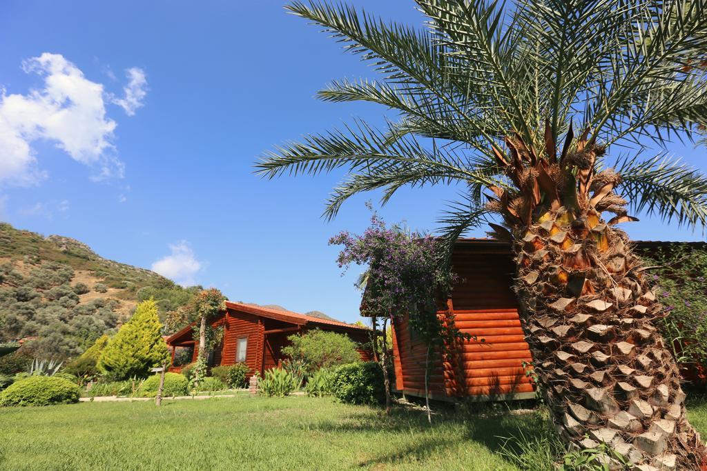 Gasthaus Hayitbuku Ahsapevleri Mesudiye  Exterior foto
