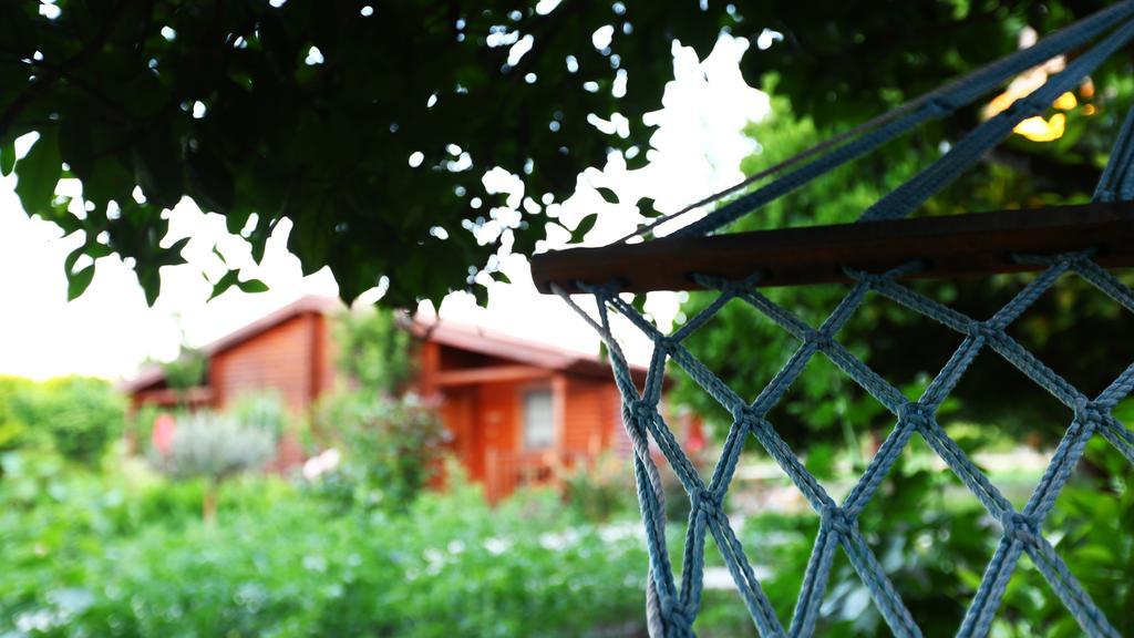 Gasthaus Hayitbuku Ahsapevleri Mesudiye  Exterior foto
