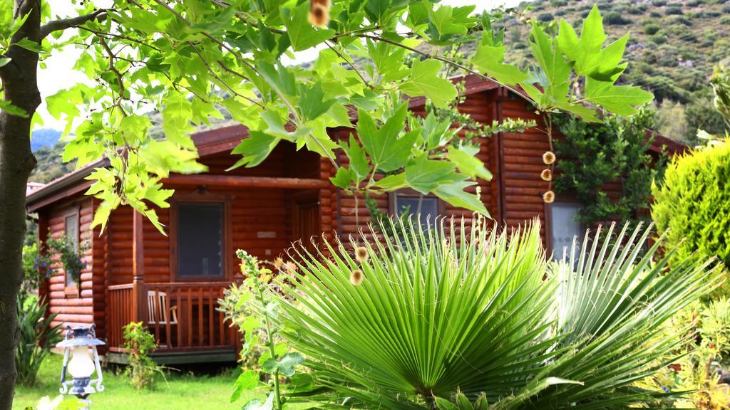 Gasthaus Hayitbuku Ahsapevleri Mesudiye  Exterior foto